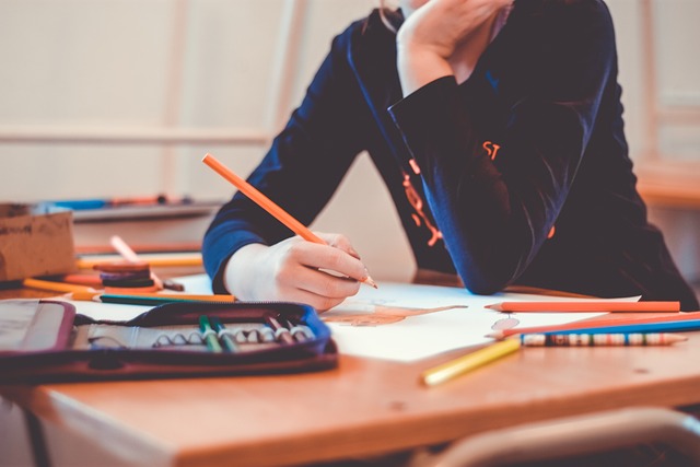 Neuer Schultyp: Internationale Schule